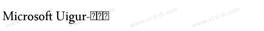 Microsoft Uigur字体转换